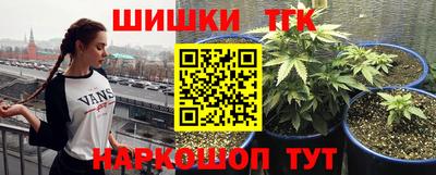 круглые Тара