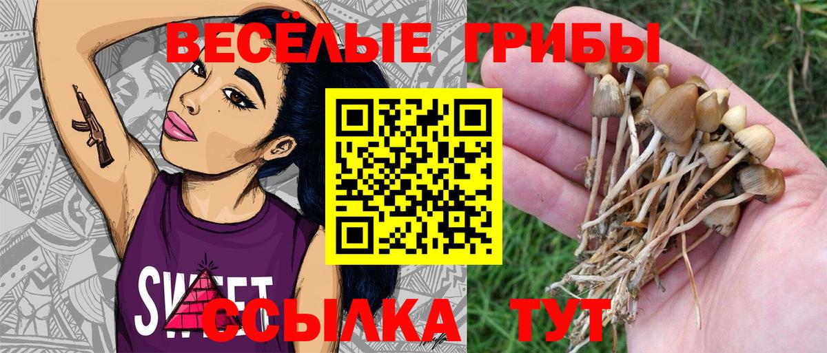 Галлюциногенные грибы GOLDEN TEACHER Октябрьский