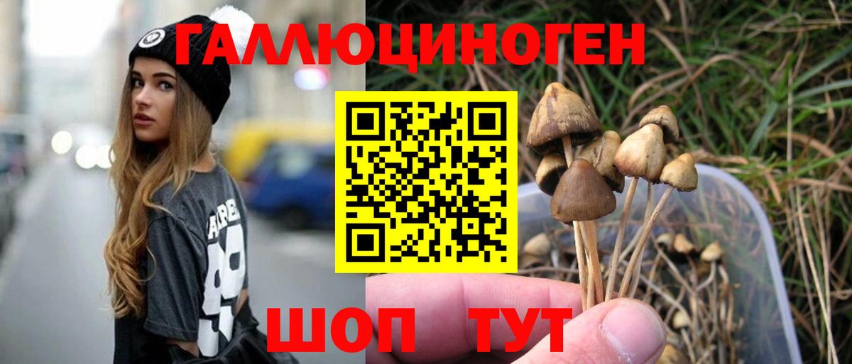 Галлюциногенные грибы Magic Shrooms  Вход с VPN  Галлюциногенные грибы Psilocybe  что такое   Октябрьский 